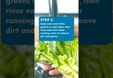 How to Clean Salad Greens #shorts #cyclospora #foodsafety #parasite