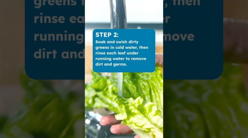 How to Clean Salad Greens #shorts #cyclospora #foodsafety #parasite